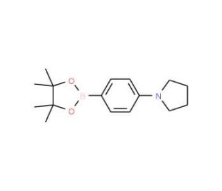 1-[4-(4,4,5,5-Tetramethyl-1,3,2-dioxaborolan-2-yl)phenyl]pyrrolidine (CAS 852227-90-8) - chemical structure image