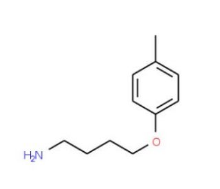 1-(4-aminobutoxy)-4-methylbenzene - chemical structure image