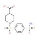 1-{[4-(aminosulfonyl)phenyl]sulfonyl}piperidine-4-carboxylic acid - chemical structure image