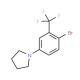 1-(4-Bromo-3-trifluoromethylphenyl)pyrrolidine (CAS 1020252-86-1) - chemical structure image