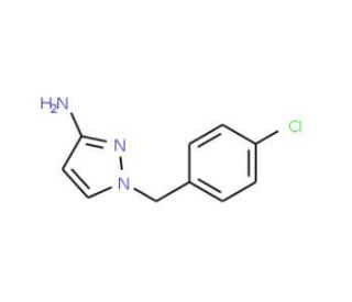 1-(4-Chlorobenzyl)-1H-pyrazol-3-amine (CAS 925154-93-4) - chemical structure image