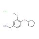 1-[4-(cyclopentyloxy)-3-methoxyphenyl]methanamine hydrochloride - chemical structure image
