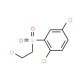 1,4-dichloro-2-[(2-chloroethyl)sulfonyl]benzene (CAS 175203-30-2) - chemical structure image