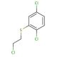 1,4-dichloro-2-[(2-chloroethyl)thio]benzene - chemical structure image