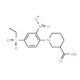 1-[4-(Ethylsulfonyl)-2-nitrophenyl]piperidine-3-carboxylic acid - chemical structure image