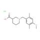 1-(4-Methoxy-2,5-dimethylbenzyl)piperidine-3-carboxylic acid hydrochloride - chemical structure image