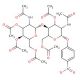 1-(4-Nitrophenyl)-N,N′-Diacetyl-3,6,3′,4′,6′-penta-O-acetylchitobioside (CAS 7284-19-7) - chemical structure image