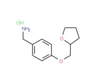 1-[4-(tetrahydrofuran-2-ylmethoxy)phenyl]methanamine hydrochloride - chemical structure image