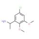 1-(5-Chloro-2,3-dimethoxyphenyl)ethylamine (CAS 903581-03-3) - chemical structure image
