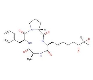 1-Alaninechlamydocin - chemical structure image