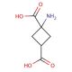 1-Aminocyclobutane-trans-1,3-dicarboxylic acid (CAS 73550-55-7) - chemical structure image