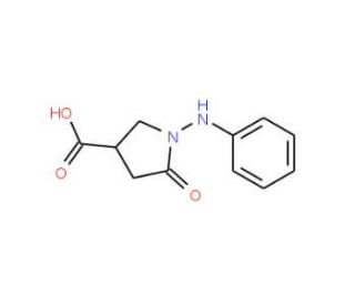 1-anilino-5-oxopyrrolidine-3-carboxylic acid - chemical structure image
