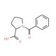 1-benzoylpyrrolidine-2-carboxylic acid (CAS 195719-48-3) - chemical structure image