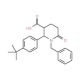 1-Benzyl-2-[4-(tert-butyl)phenyl]-6-oxo-3-piperidinecarboxylic acid - chemical structure image