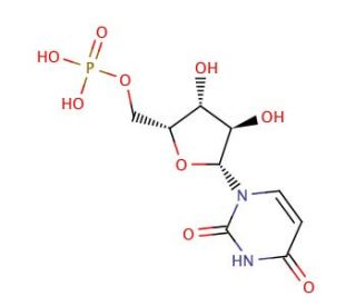 1-&beta;-D-Arabinofuranosyluracil 5&prime;-Monophosphate (CAS 18354-06-8) - chemical structure image