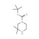 1-Boc-3,3-dimethylpiperazine (CAS 259808-67-8) - chemical structure image