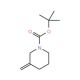 1-Boc-3-methylene-piperidine (CAS 276872-89-0) - chemical structure image