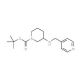 1-Boc-3-N-(Pyridin-4-ylmethyl)-amino-piperidine (CAS 886364-97-2) - chemical structure image