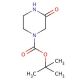 1-Boc-3-oxopiperazine (CAS 76003-29-7) - chemical structure image