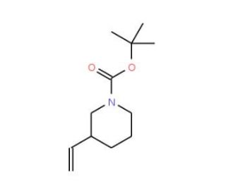 1-Boc-3-vinyl-piperidine (CAS 146667-87-0) - chemical structure image