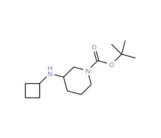 1-Boc-4-cyclobutylaminopiperidine (CAS 812690-41-8) - chemical structure image