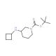 1-Boc-4-cyclobutylaminopiperidine (CAS 812690-41-8) - chemical structure image