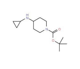 1-Boc-4-cyclopropylaminopiperidine (CAS 179557-01-8) - chemical structure image