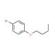 1-bromo-4-butoxybenzene (CAS 39969-57-8) - chemical structure image