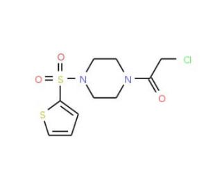 1-(chloroacetyl)-4-(thien-2-ylsulfonyl)piperazine - chemical structure image