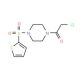 1-(chloroacetyl)-4-(thien-2-ylsulfonyl)piperazine - chemical structure image