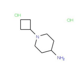 1-cyclobutylpiperidin-4-amine dihydrochloride - chemical structure image