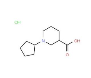 1-Cyclopentylpiperidine-3-carboxylic acid hydrochloride - chemical structure image