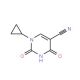 1-cyclopropyl-2,4-dioxo-1,2,3,4-tetrahydropyrimidine-5-carbonitrile (CAS 175203-44-8) - chemical structure image