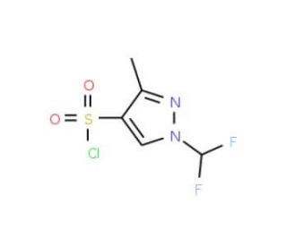 1-Difluoromethyl-3-methyl-1H-pyrazole-4-sulfonyl chloride (CAS 957490-44-7) - chemical structure image
