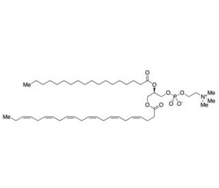 1-Docosahexaenoyl-2-stearoyl-sn-glycero-3-phosphocholine (CAS 99264-99-0) - chemical structure image