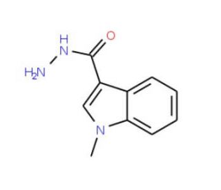 1-methyl-1H-indole-3-carbohydrazide (CAS 56559-62-7) - chemical structure image