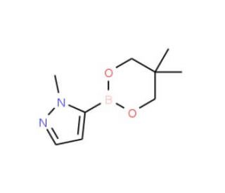 1-Methyl-1H-pyrazole-5-boronic acid, neopentyl glycol ester (CAS 1044851-76-4) - chemical structure image