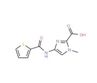 1-Methyl-4-[(thiophene-2-carbonyl)-amino]-1H-imidazole-2-carboxylic acid - chemical structure image