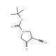 1-N-Boc-3-cyanopyrrolidin-4-one (CAS 175463-32-8) - chemical structure image