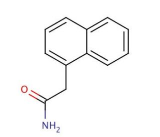 1-Naphthylacetamide (CAS 86-86-2) - chemical structure image