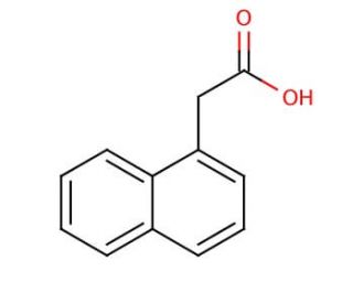 1-Naphthylacetic acid (CAS 86-87-3) - chemical structure image