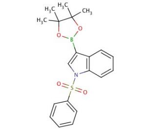 1-(Phenylsulfonyl)indole-3-boronic acid pinacol ester (CAS 870717-93-4) - chemical structure image