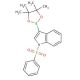1-(Phenylsulfonyl)indole-3-boronic acid pinacol ester (CAS 870717-93-4) - chemical structure image