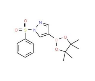 1-(Phenylsulfonyl)pyrazole-4-boronic acid, pinacol ester (CAS 1073372-04-9) - chemical structure image