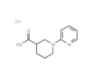 1-(pyridin-2-yl)piperidine-3-carboxylic acid hydrochloride - chemical structure image
