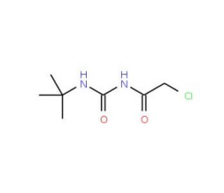 1-tert-Butyl-3-(2-chloro-acetyl)-urea (CAS 4791-27-9) - chemical structure image