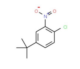 1-tert-Butyl-3-nitro-4-chlorobenzene (CAS 58574-05-3) - chemical structure image