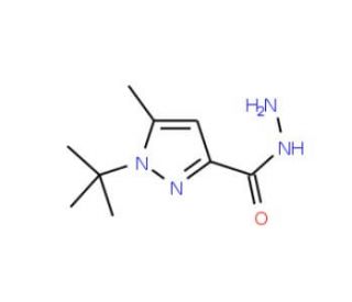1-tert-Butyl-5-methyl-1H-pyrazole-3-carbohydrazide (CAS 306937-23-5) - chemical structure image