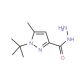 1-tert-Butyl-5-methyl-1H-pyrazole-3-carbohydrazide (CAS 306937-23-5) - chemical structure image