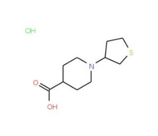 1-(Tetrahydro-3-thienyl)piperidine-4-carboxylic acid hydrochloride - chemical structure image